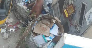 شكوى من انتشار القمامة والأوبئة بشارع شيديا بالإسكندرية