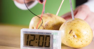 إزاى تحول الخضراوات لمصدر طاقة.. اعرف قصة ساعة البطاطس