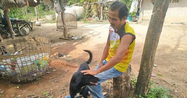 فيديو وصور.. الكلب البطل ينقذ رضيعا دفن حيا فى تايلاند ..اعرف الحكاية