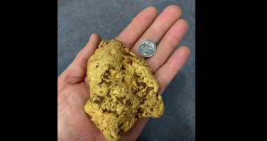 شاهد.. مستكشف يعثر على قطعة من الذهب تزن 1.4 كيلو جرام فى حقول أستراليا