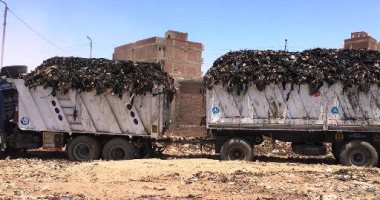 رفع 2000 طن من مقلب الفدان بمنيا القمح لنقلهم إلى "الخطارة" بالشرقية (صور)
