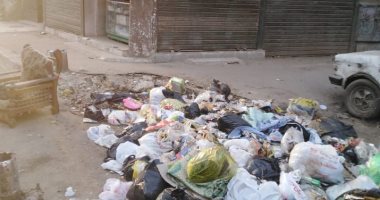 شكوى من انتشار القمامة والأوبئة بشارع عبد الهادى بعين شمس يهدد صحة الأهالى