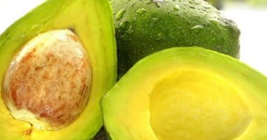 Avocado leaves are your magic remedy to restore the health of your hair and protect it from hair loss