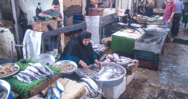 أسعار الأسماك اليوم الجمعة 1-11-2019 بسوق العبور