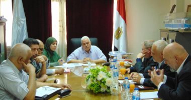 تعاون مصرى تيشيكى لتطوير محطات الكهرباء لترام الإسكندرية