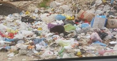 قارئ يشكو من انتشار القمامة والأوبئة بمنطقه أرض الجمعيات بالإسماعيلية