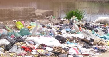 أهالى قرية العجوزين بكفر الشيخ يشكون من عدم وجود صناديق القمامة