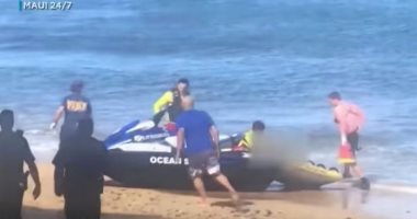 فيديو.. سمكة قرش تهاجم رجلا على شاطئ أمريكى وتمزقه أمام زوجته