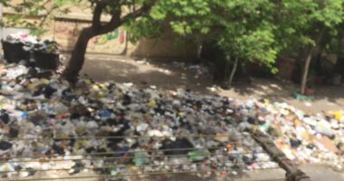 شكوى من انتشار القمامة بشارع الدويدار بمنطقة السلام