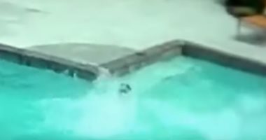 "المنشآت السياحية": لا تمنع المحجبات من نزول حمامات السباحة.. فيديو