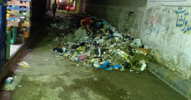 قارئ يشكو من انتشار أكوام القمامة بحدائق القبة