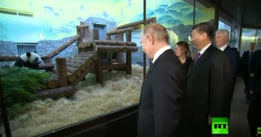 شاهد.. بوتين ورئيس الصين يتفقدان جناح الدببة بحديقة حيوان موسكو