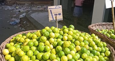 قارئ يشارك "صحافة المواطن" كاريكاتير عن ارتفاع أسعار الليمون