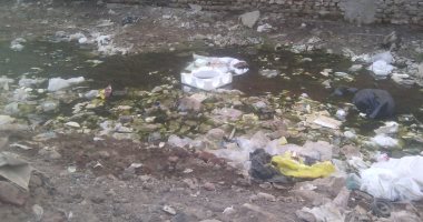 شكوى من انتشار القمامة بشارع صابر باشا صبرى بالهرم وغرقه بمياه الصرف الصحى