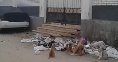 صور.. أضبط مخالفه.. انتشار القمامة أمام مدارس كفر الزيات بالغربية