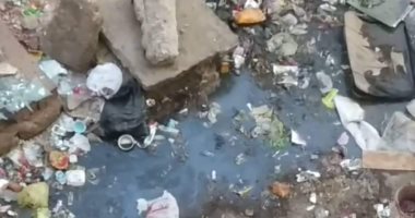 اضبط مخالفة .. الصرف والقمامة تغرقان مدرسة الشهيد أشرف سلومة بالقليوبية 