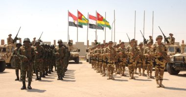 دول الساحل الإفريقي تنقل مقر قواتها المشتركة من مالي إلى النيجر