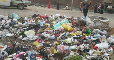 "لازم تنضف".. حملة لأهالى المحلة للمطالبة بتنظيف شوارع المدينة (فيديو وصور)