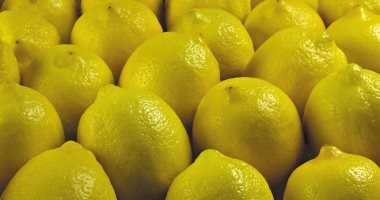 استقرار سعر الليمون.. والكيلو بـ15جنيها بمنافذ المجمعات الاستهلاكية 