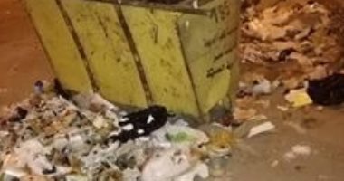 شكاوى من انتشار الكلاب الضالة و القمامة بمنطقة غرب أرابيلا بالتجمع الخامس