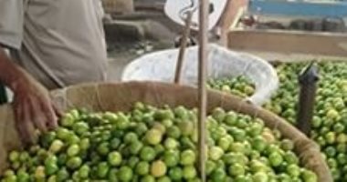 قارئ يشارك بصورة من سوق فى دمياط ويؤكد سعر الليمون 20 جنيها 
