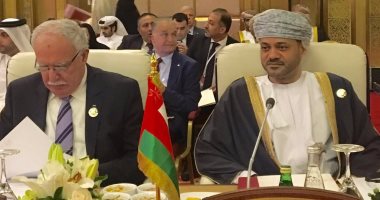 وزير خارجية عمان يؤكد عدم تحقيق سلام شامل دون حل الدولتين 