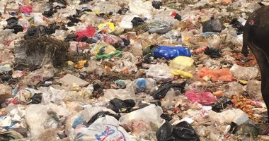 قارئ يشكو من انتشار القمامة والأوبئة بالحى العاشر مدنية نصر