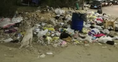 قارىء يشكو من انتشار القمامة بمنطقة مساكن الضباط بمدينة نصر