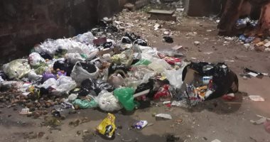 صور.. اضبط مخالفة.. تلال القمامة تحاصر مقابر دمياط وتهدد السكان ‌