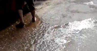 واقعة إهدار المياه بحدائق الأهرام أصبحت ممنهجة