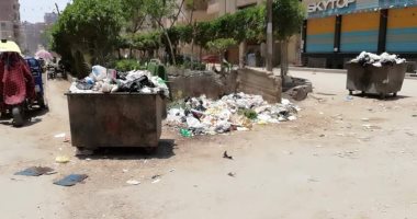 رغم استمرار حملة "لازم تنضف".. القمامة تنتشر فى شوارع المحلة (صور)