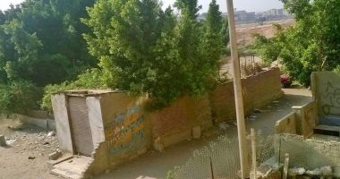 قارئ يشكو انتشار العشوائيات فى شارع رشاح الترعة بمدينة السلام