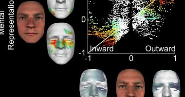 تطوير تقنية ثلاثية الأبعاد تعمل بطريقة العقل البشرى فى تذكر الأشخاص