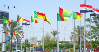 صور.. الإسماعيلية تتزين بأعلام الدول المشاركة فى بطولة أمم أفريقيا
