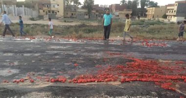 شكوى من سوء حالة طريق الناصر – القاهرة بالبحيرة ومطالب بإصلاحه تجنبا للحوادث