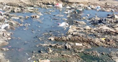 شكوى من انتشار مياه الصرف الصحى والقمامة بمساكن الأوقاف بطنطا