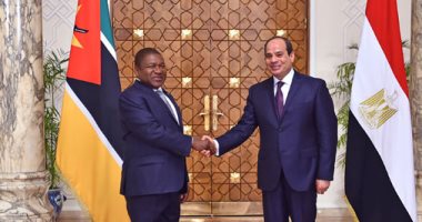 5 ملايين دولار حجم التبادل التجاري بين مصر وموزمبيق سنويا 