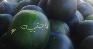 نقابة الفلاحين: البطيخ المصرى جيد.. والبعض يروج الشائعات حول سلامة المنتجات الزراعية