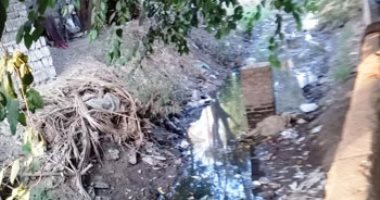 انقطاع المياه عن أراضى قرى "ببا" ببنى سويف.. ووكيل الرى: لجنة فنية للمعاينة