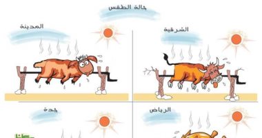 كاريكاتير الصحف السعودية.. محاولة انقاذ الاقتصاد العالمى خلال قمة العشرين