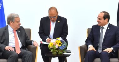 السيسي يؤكد لسكرتير عام الأمم المتحدة دعم مصر لجهود السلم والأمن الدوليين