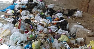 شكاوى من انتشار القمامة بمنطقة "ليسا الجمالية" بالدقهلية