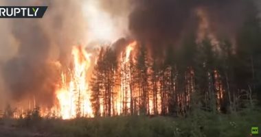 "مشهد يحبس الأنفاس".. شاهد الغابات الروسية تعانى من حرائق مرعبة