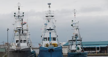 أسطول يابانى يستعد لاستئناف صيد الحيتان لأغراض تجارية