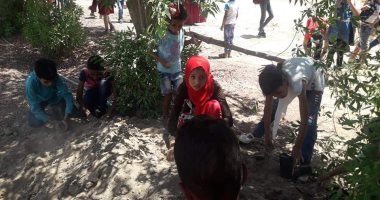 صور.. "ازرع مورينجا".. مبادرة جديدة لزراعة شجرة "الحياة " بالوادى الجديد (صور)