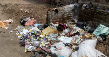 اضبط مخالفة.. انتشار القمامة فى الشوارع الرئيسية بمحافظة الغربية.. صور