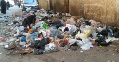 قارئ يشكو من انتشار القمامة بشارع العرب بالشربية