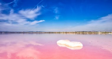 من جمال الطبيعة.. بحيرة توريفايجا الإسبانية يكسوها اللون الوردى