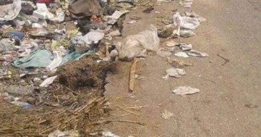 القمامة تحاصر أهالى قرية بشبيش بالغربية: تنشر رائحة كريهة وحشرات ضارة