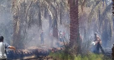 الدفاع المدني بالوادى الجديد يسيطر على حريق محدود بمزرعة بقرية المنيرة